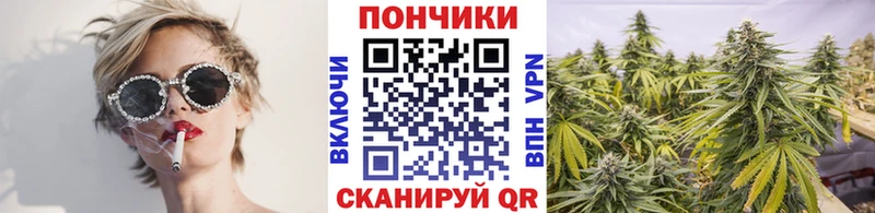 Каннабис сатива  где можно купить   ОМГ ОМГ   Ярцево 